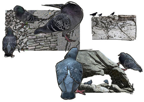 Untitled Untitled